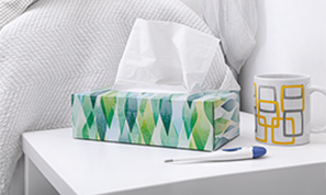 טישו ומדחום